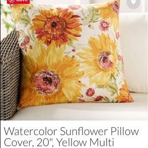 Pottery Barn pillow covers